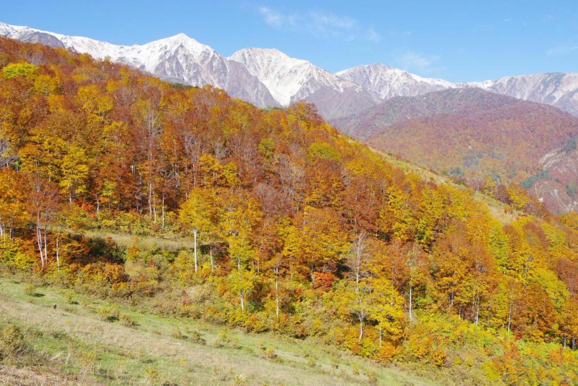 Hakuba Ski-Kan Exterior foto